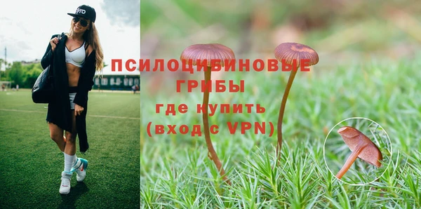PSILOCYBIN Каменск-Шахтинский