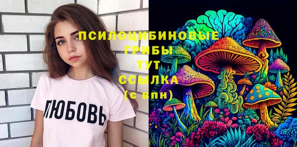 PSILOCYBIN Каменск-Шахтинский