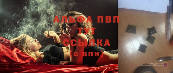 СК Инсар